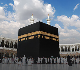Saudi Arabia Business Visa